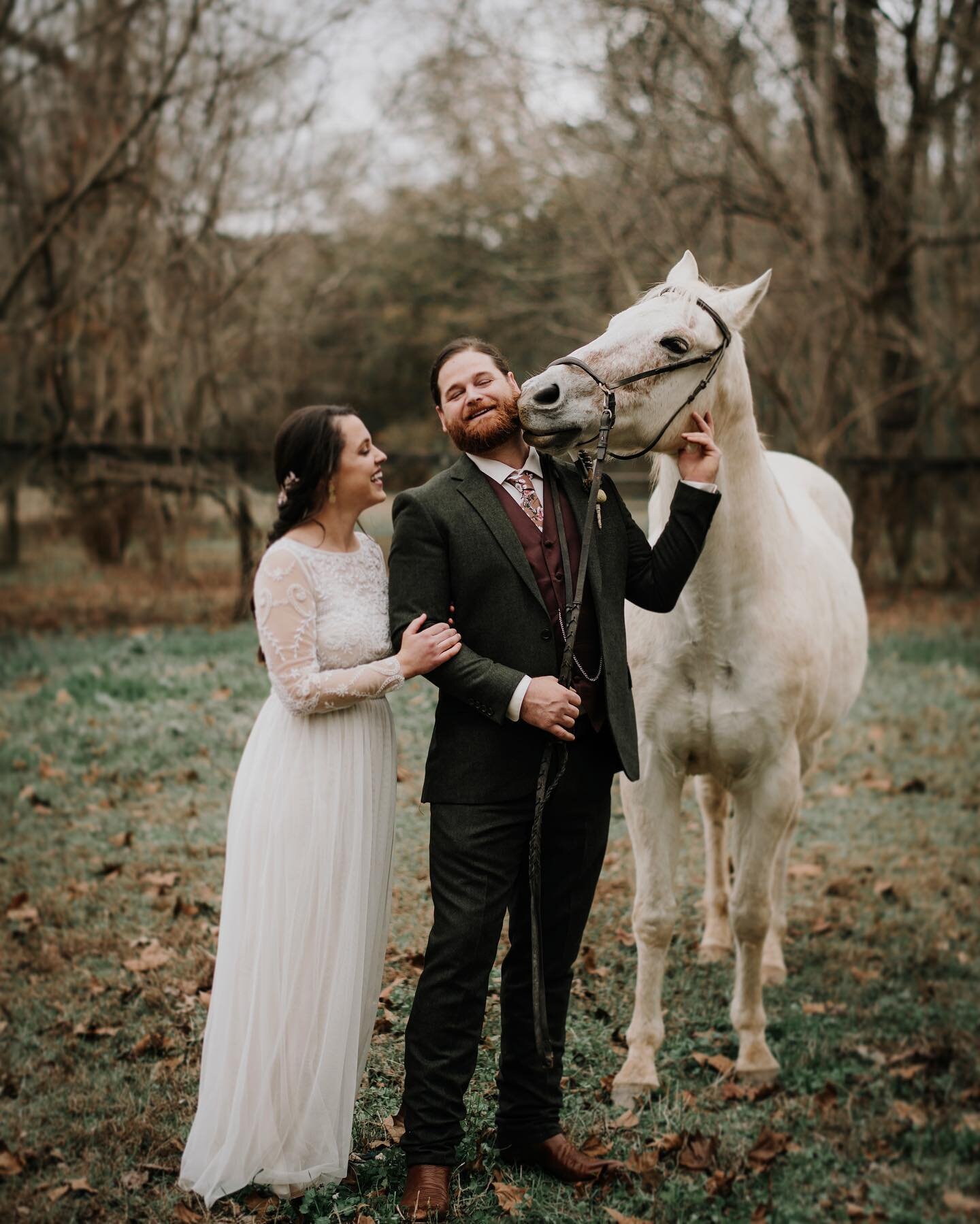 But like, has a horse ever kissed you on your wedding day?