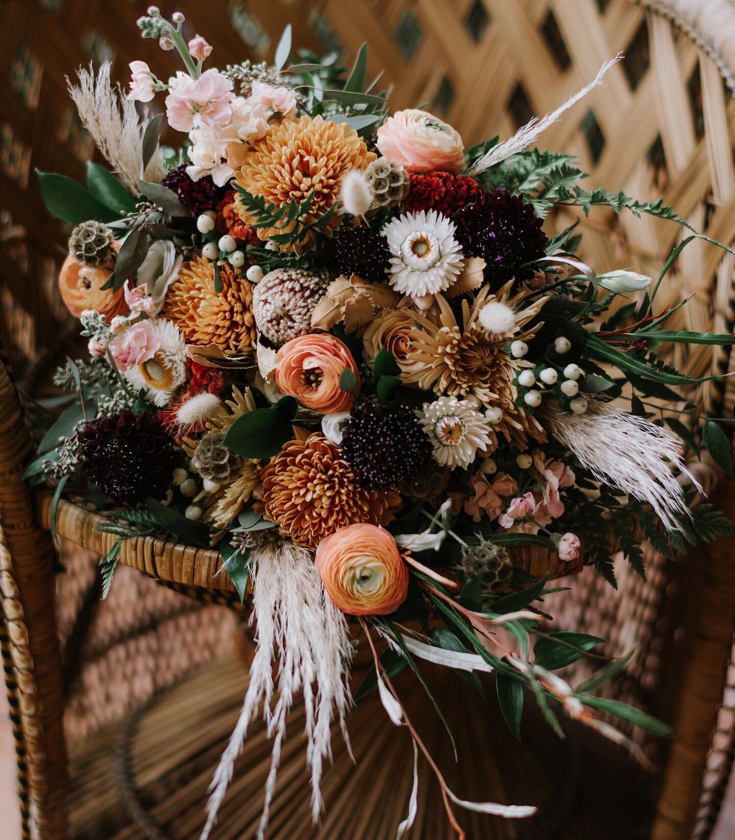 Here are some gorgeous flowers for you to look at incase you didn&rsquo;t get any today.
Happy Valentine&rsquo;s Day to all you love birds🤍