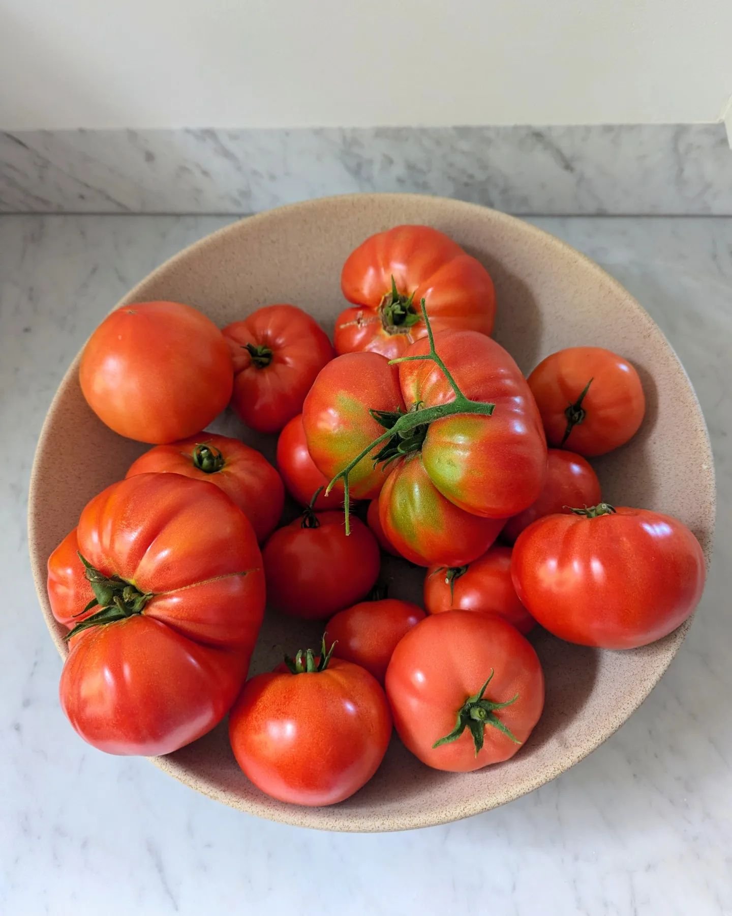 I grew these!!!