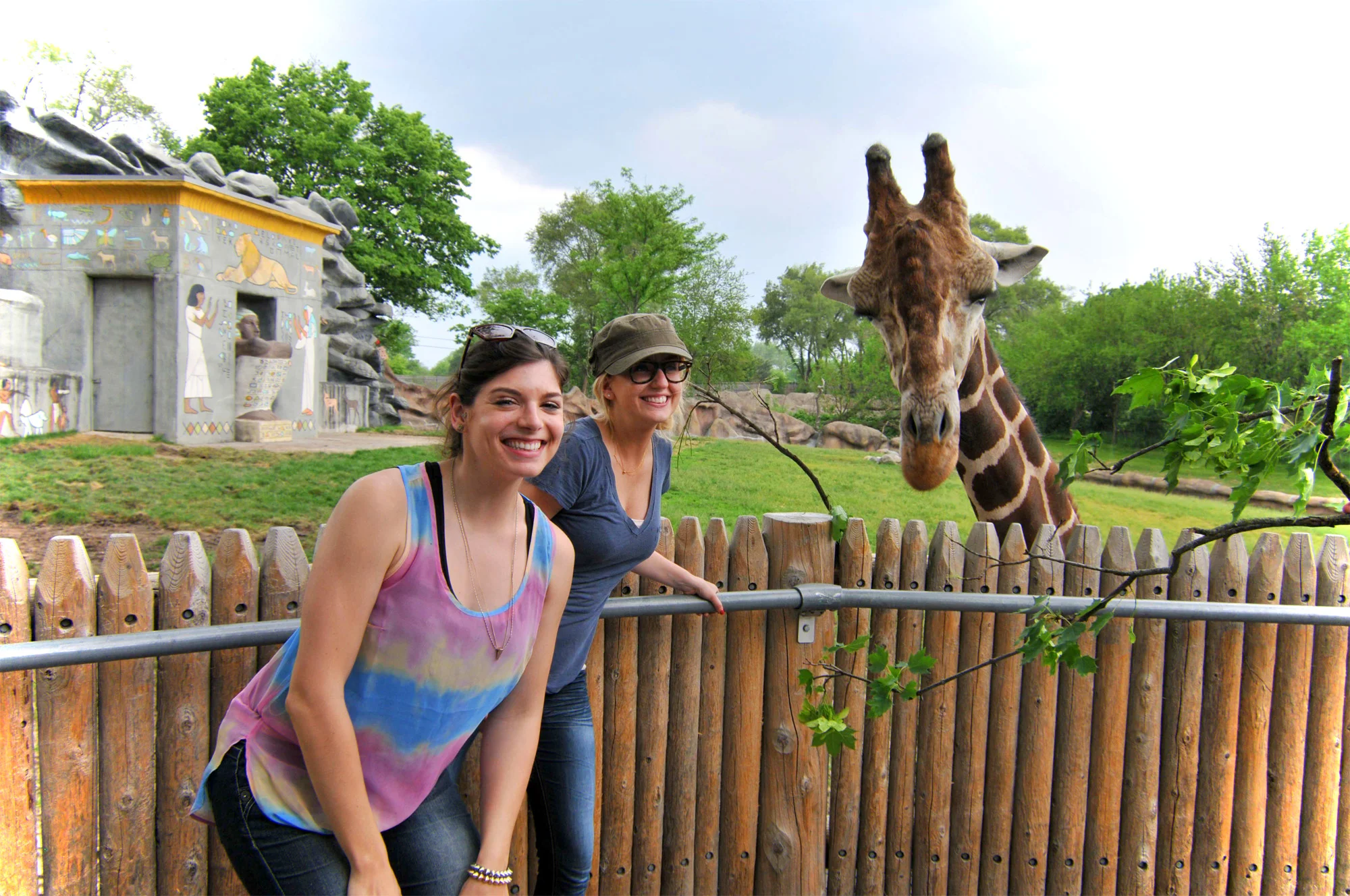 giraffe2_o.jpg