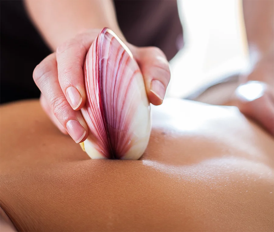 New Lava Shell Massage Starting at $140