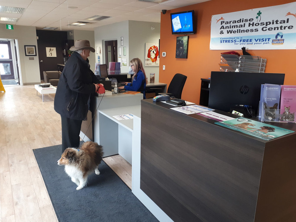 paradise animal hospital newfoundland - Missy Knapp