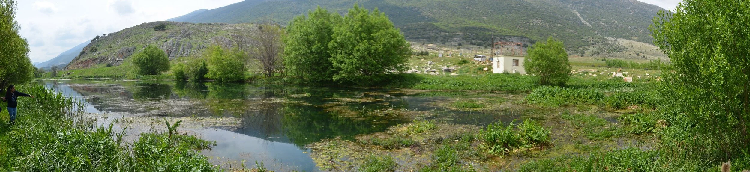 Ammiq Wetlands.jpg