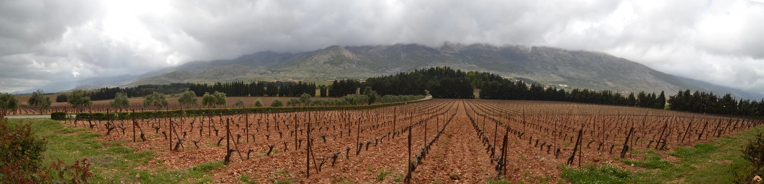 Chateau Kefraya bekaa Lebanon.jpg