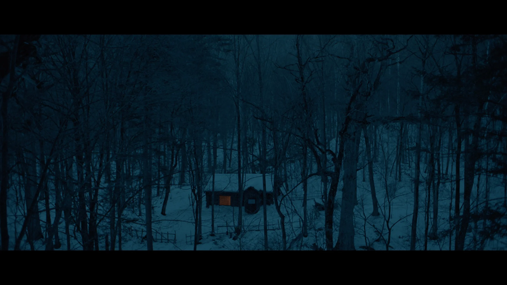 ZYYZS stills_1.145.1.jpeg