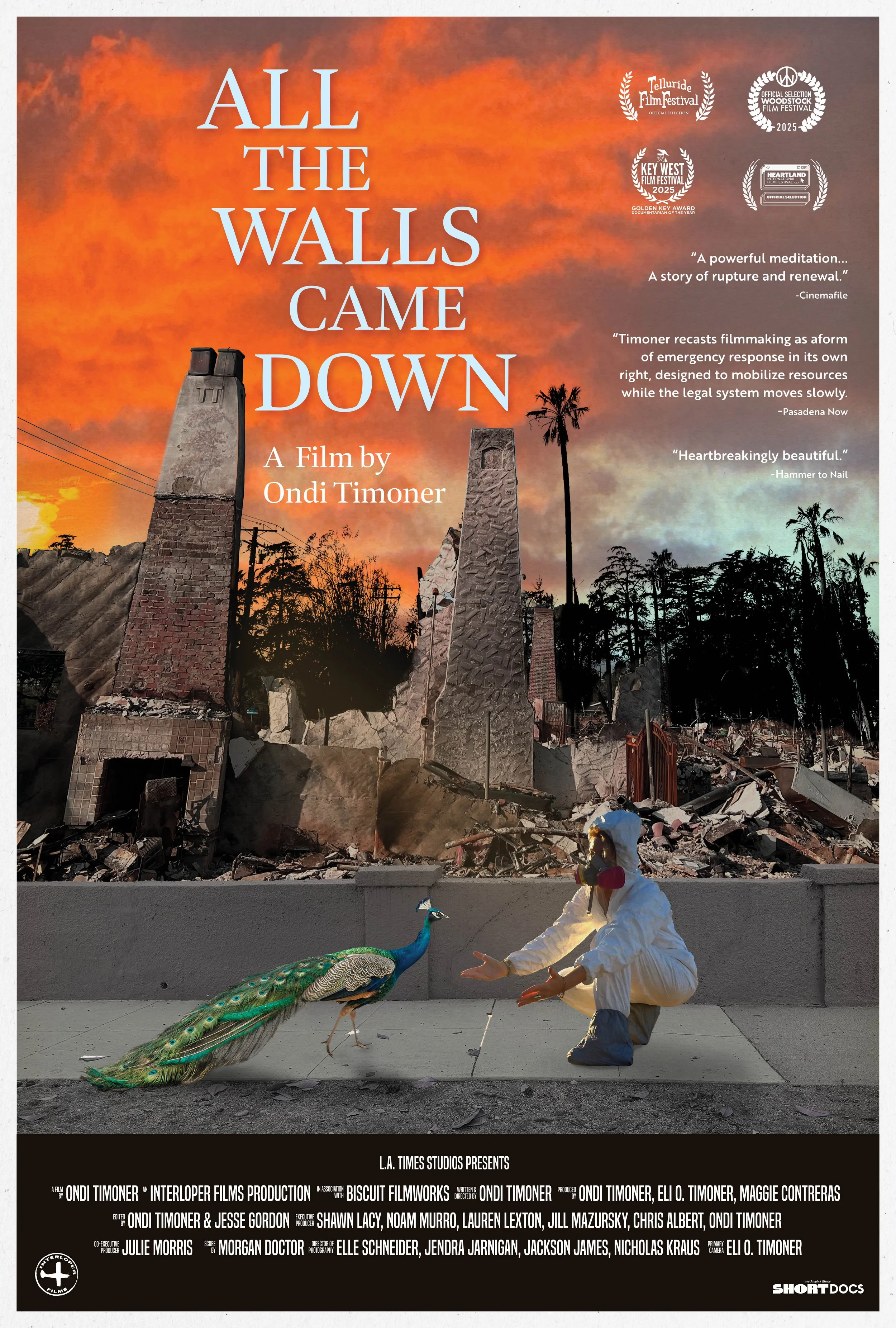 ALL THE WALLS CAME DOWN Shortlisted for the 98th OSCARS®