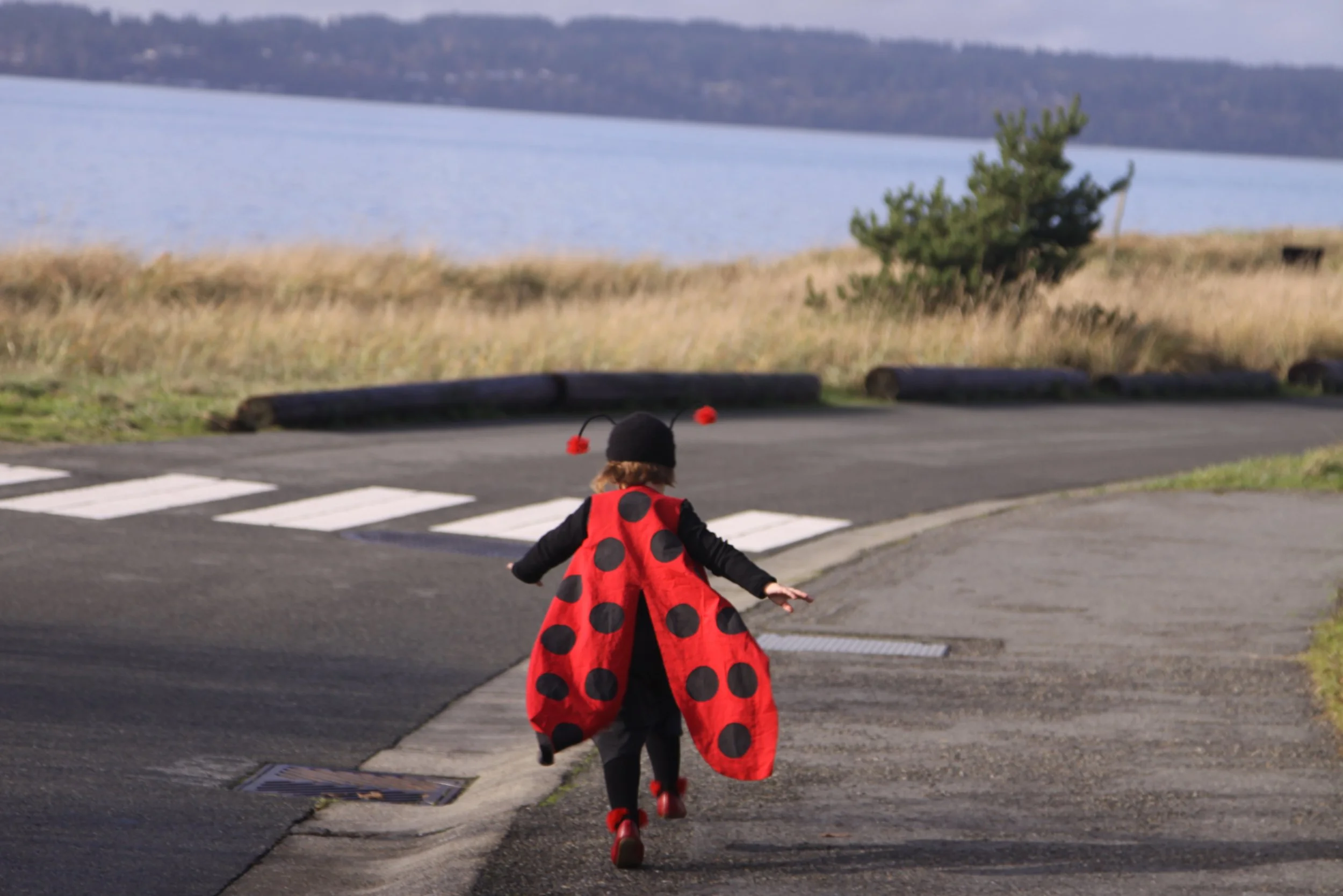 LADYBUG COSTUME DESIGN