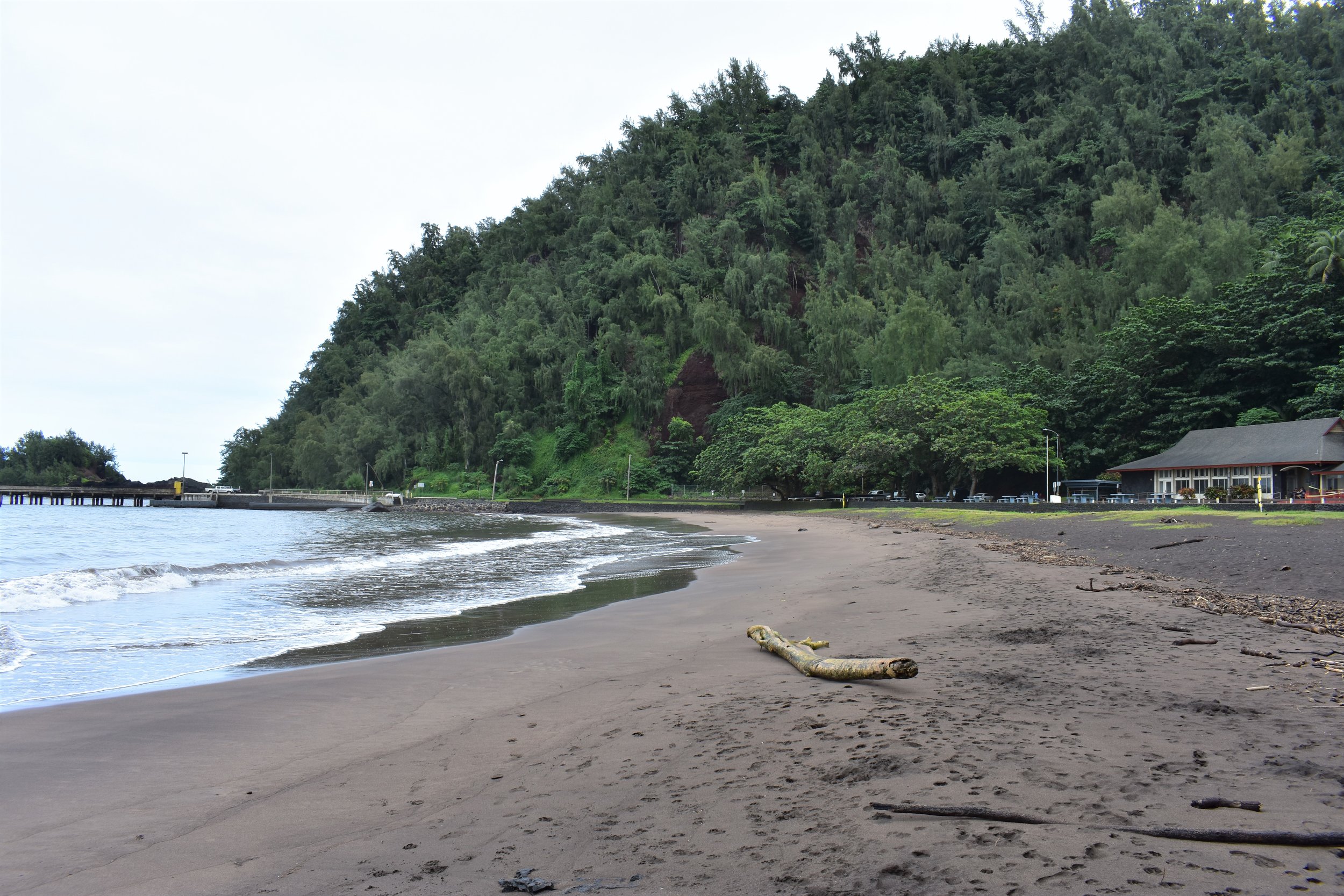 Road to Hana (24).JPG