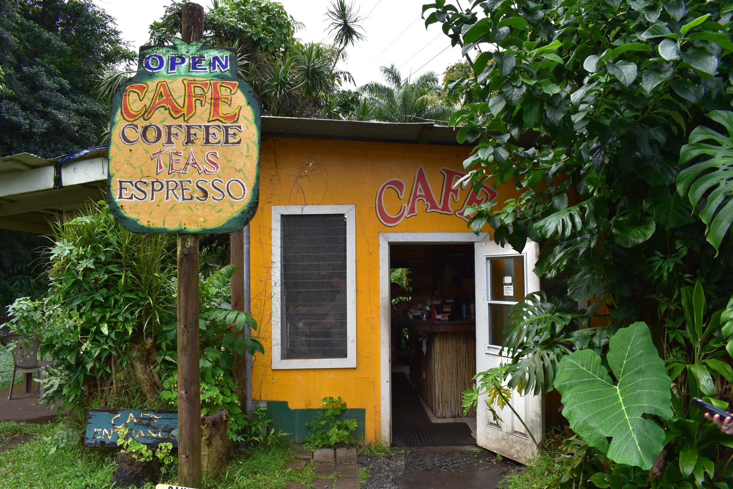 Road to Hana (33).JPG