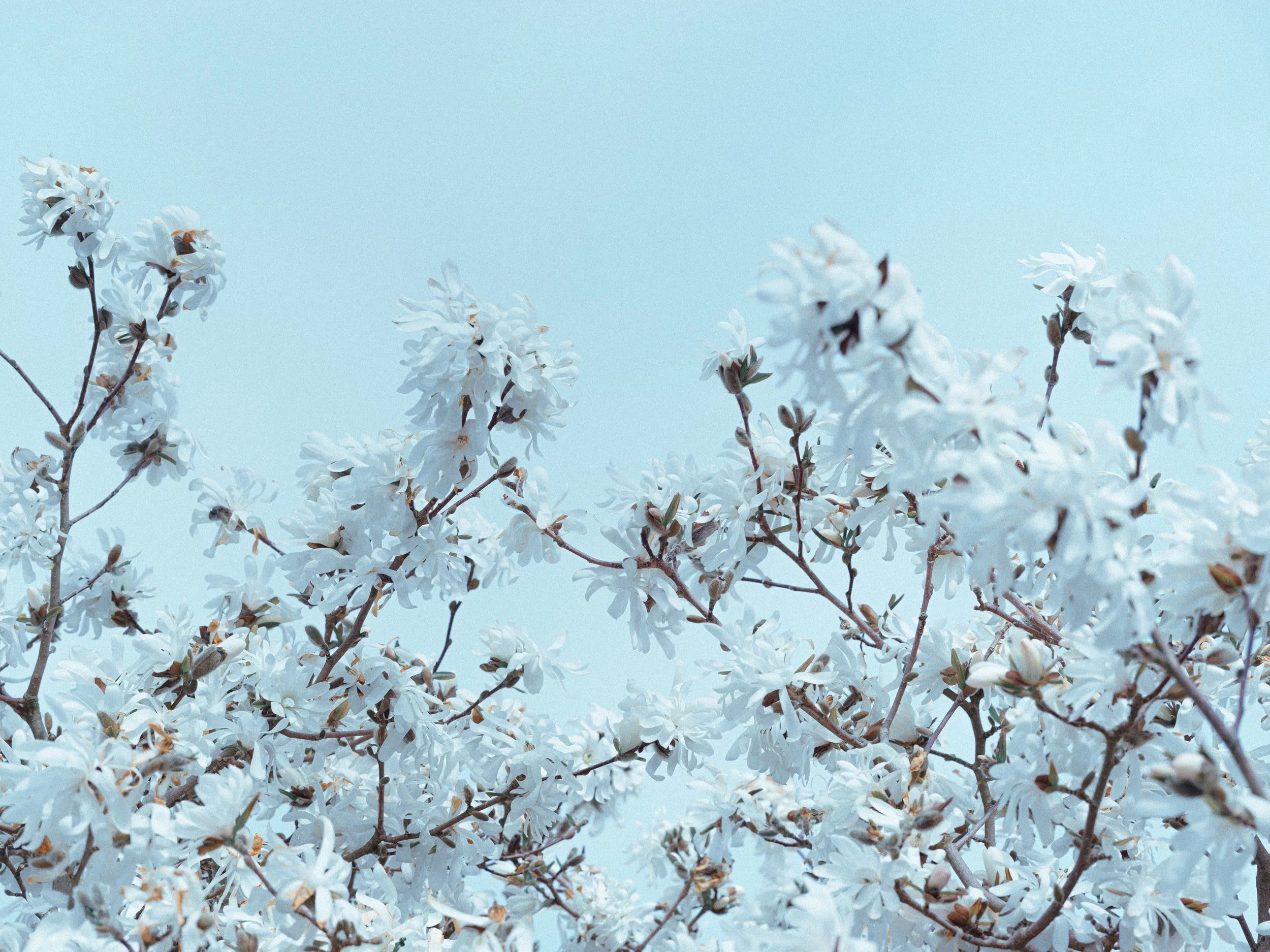 unsplash-image-U2HYVCxnOf4.jpg