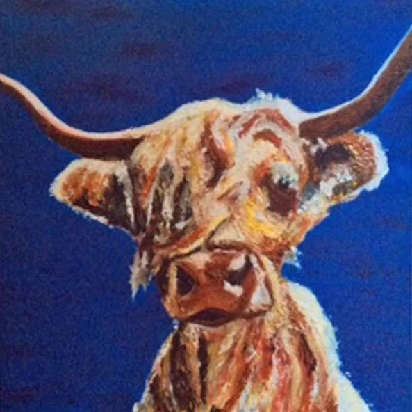 Web-highland-Harry-SOLD.jpg