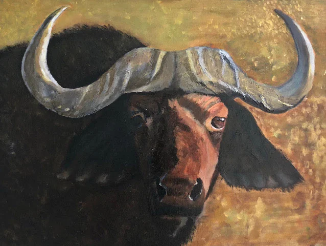 Buffalo Stare - £200. Acrylic - 60cm x 45cm - Card Available on Esty
