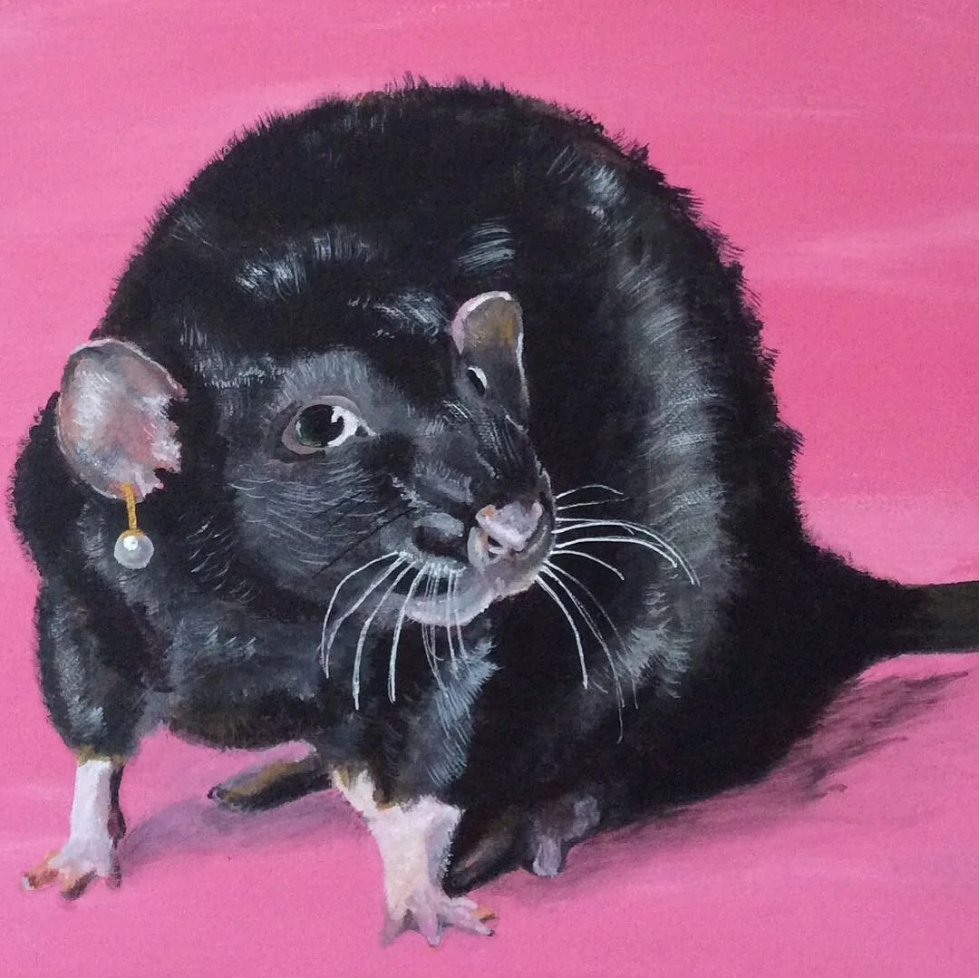 A Rat with a Pearl Earring.JPG