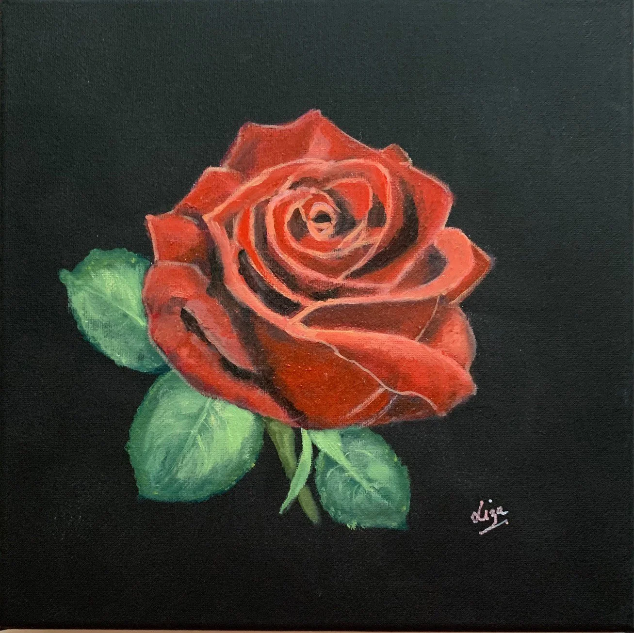 ROSE Red.jpg