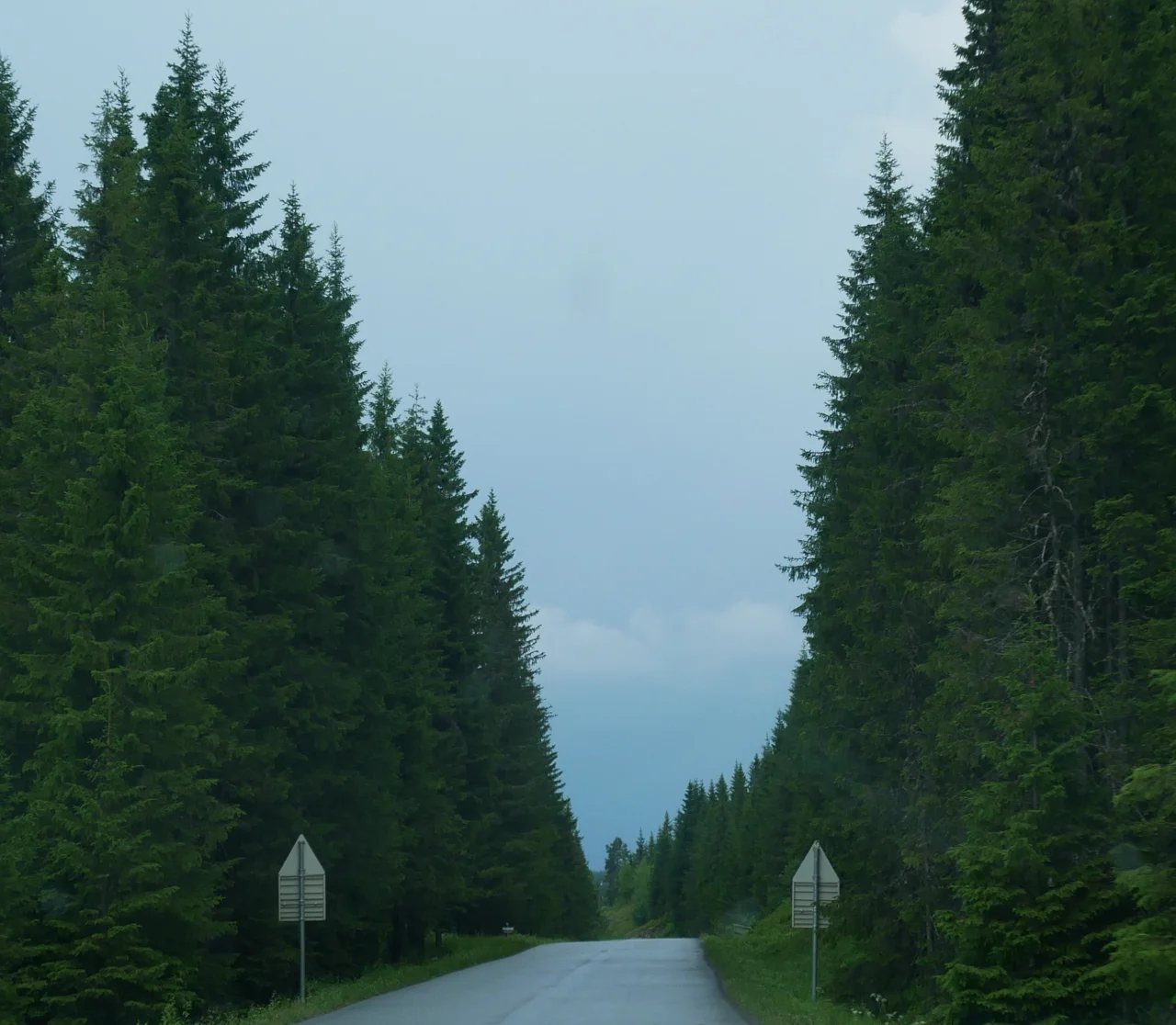 P1010666.jpg