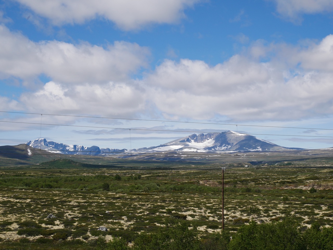 Land of the musk ox - Dovrefjell–Sunndalsfjella National Park. 