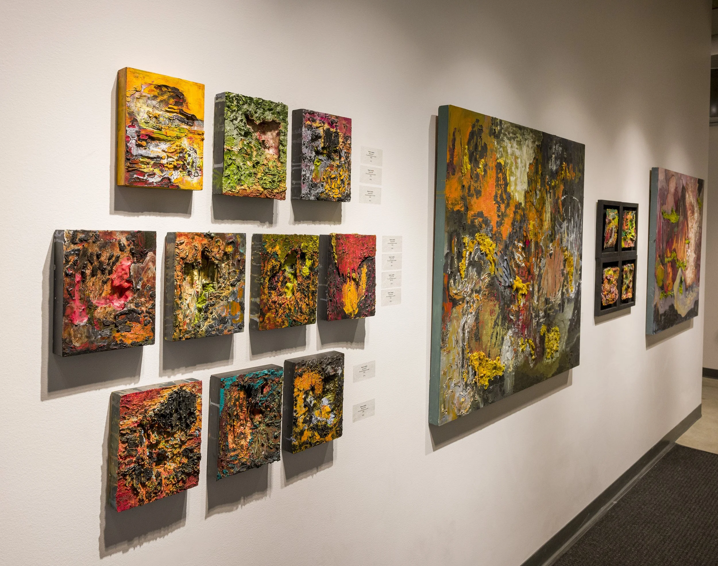 Karen Laudon Rupture Exhibition at Arts+Literature Lab #2.jpg