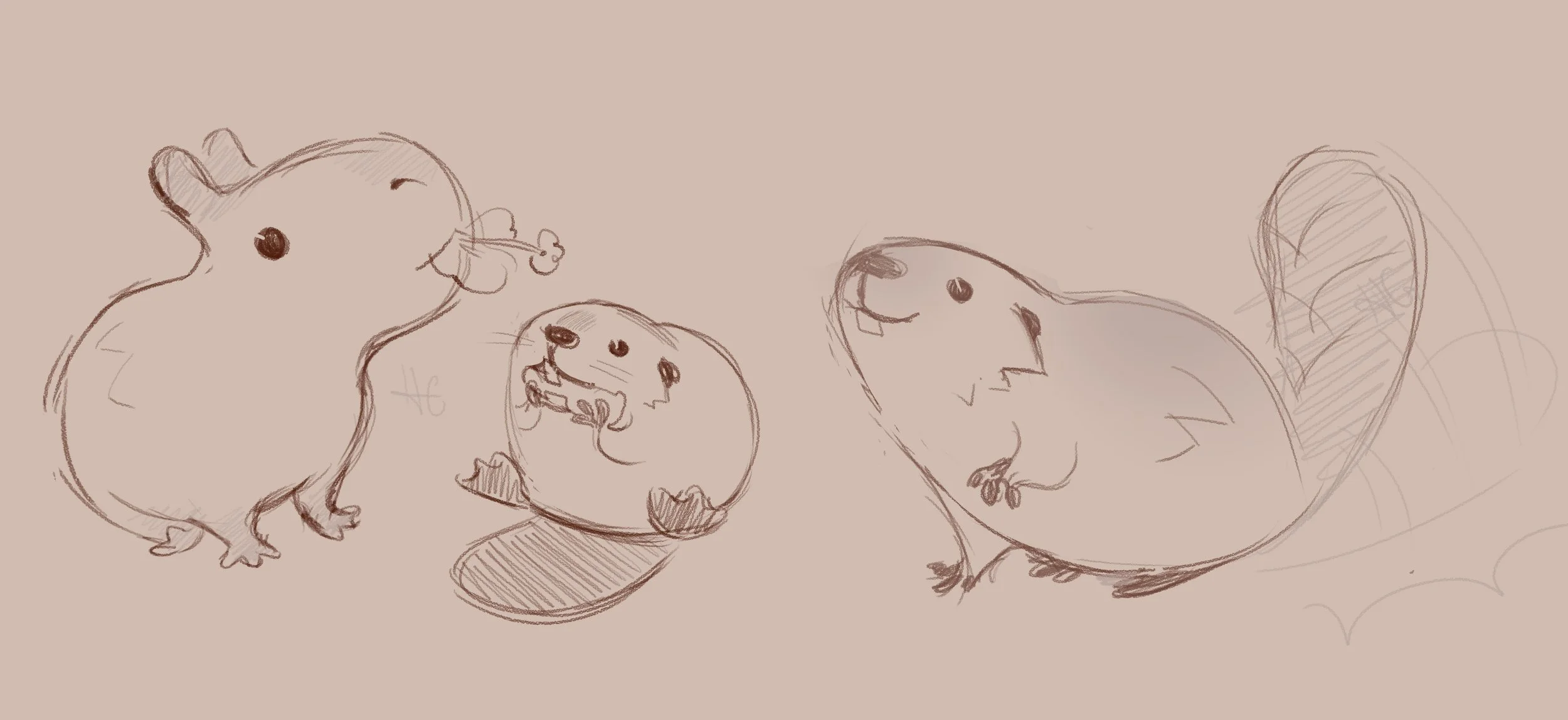 Character Moments (Hapy Capy)