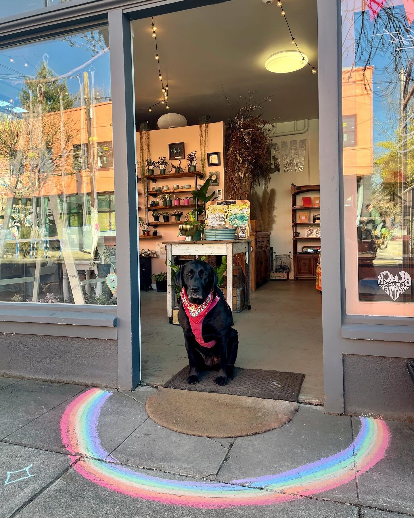 We are fully prepared to be your ray of sunshine this spring because who knows if the Oregon weather will cooperate! Were open this weekend 12-5 pm, come say &ldquo;Hey!&rdquo;
.
.
.
.
.
.
.
.
#portland #portlandoregon #pnw #shoplocalpdx #handmade