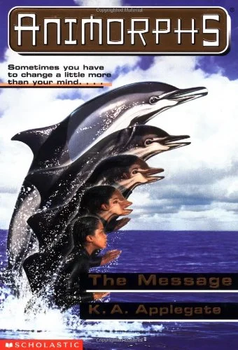 Book 4: The Message episode artwork
