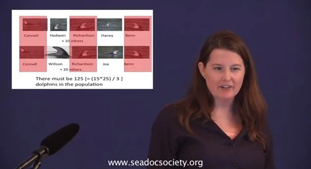 Video: Erin Ashe on Dolphins of the Pacific Northwest