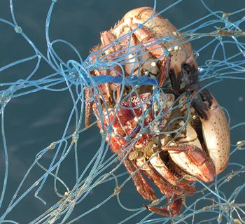 Lost Fishing Gear Recovery Project