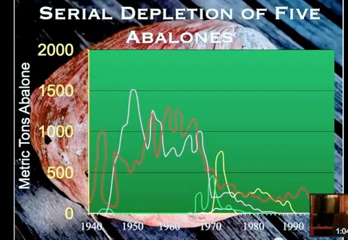 Video: Gary Davis: The Sea and Us - A Voyage of Discovery