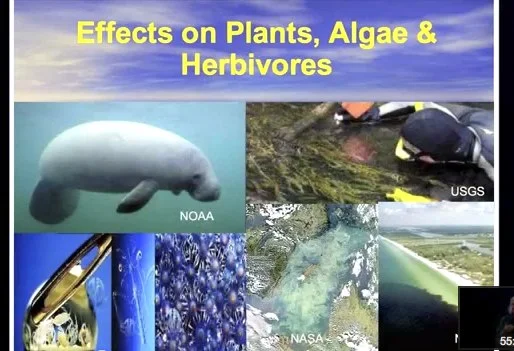 Video: Leslie Dierauf on climate change, December 2012