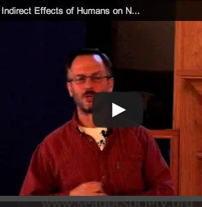 Video: Peter Arcese on the Unintended Consequences of Human Actions