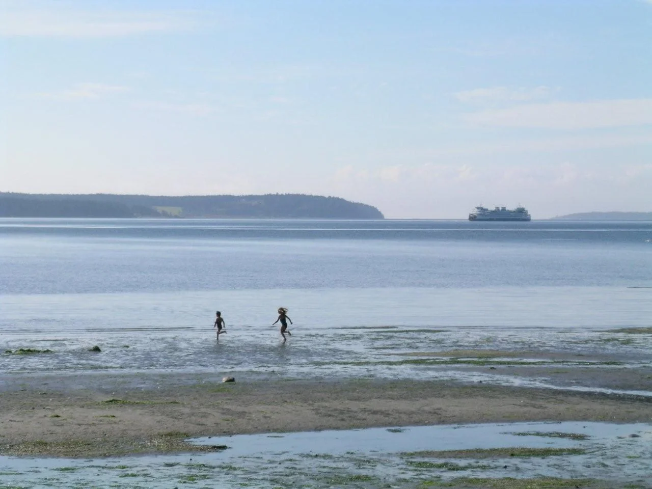 Top ten principles for designing a healthy Salish Sea