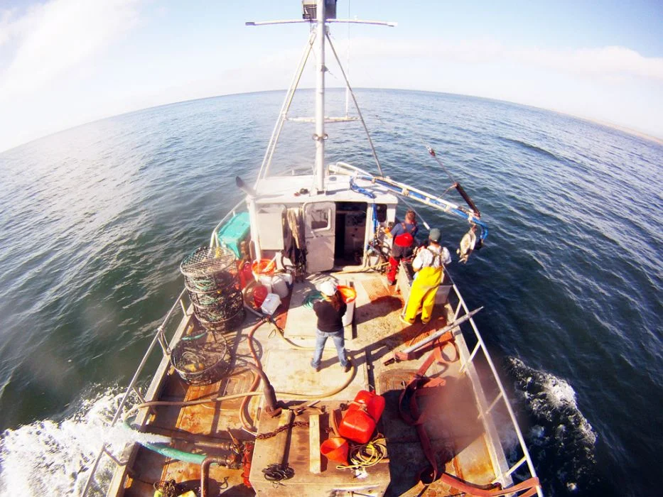SeaDoc helps commercial crabbers recover 550 pots in California