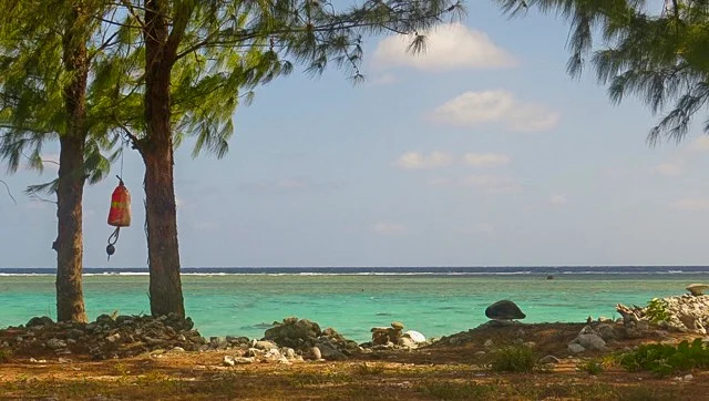 It's a Small, Small World