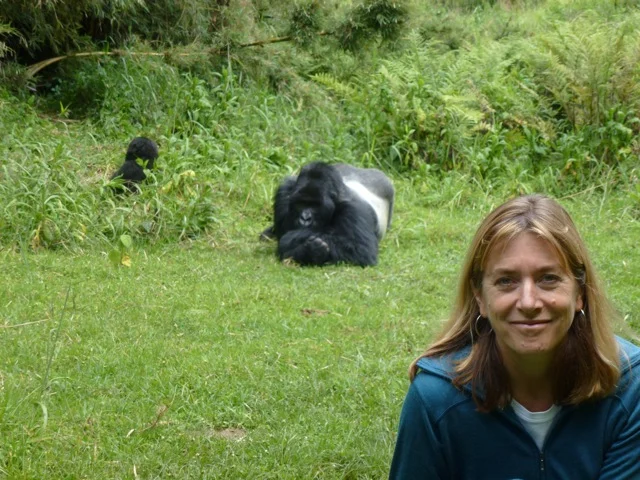 Kirsten Gilardi with silverback gorilla. Photo by Sandy Buckley.