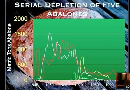 SeaDoc-Lecture_-The-Sea-and-Us-A-Voyage-of-Discovery-Gary-Davis-YouTube.jpg