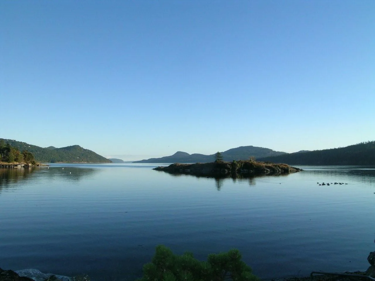 Ocean and aquatic systems generate more than 60% of the world’s ecosystem services. Our quality of life depends on designing healthy coastal ecosystems. Photo: J. Gaydos