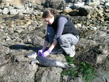 Morgan-and-seal-pup_0.jpeg