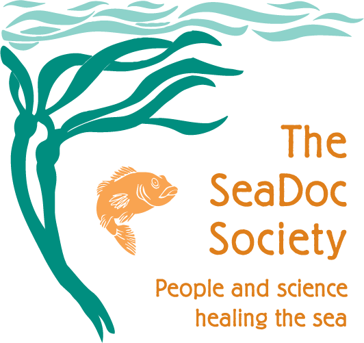 seadoc-logo.png