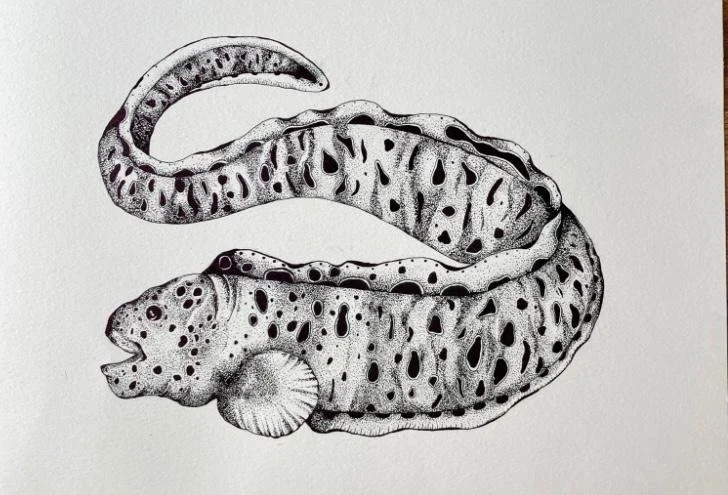 Meet Madison Churchill, Social Media and Communications Editor