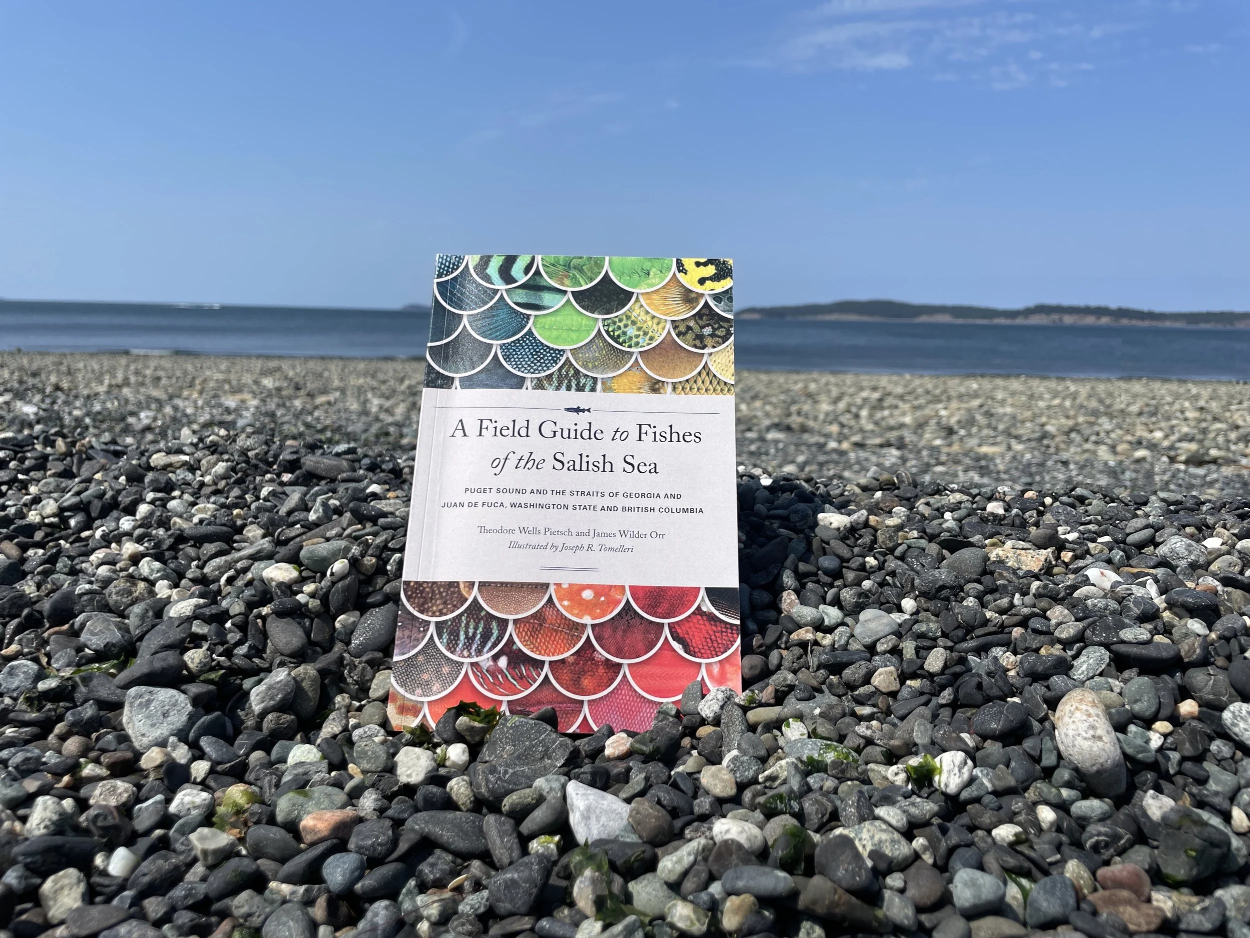 A Field Guide to Fishes of the Salish Sea (Book Review by Joe Gaydos)