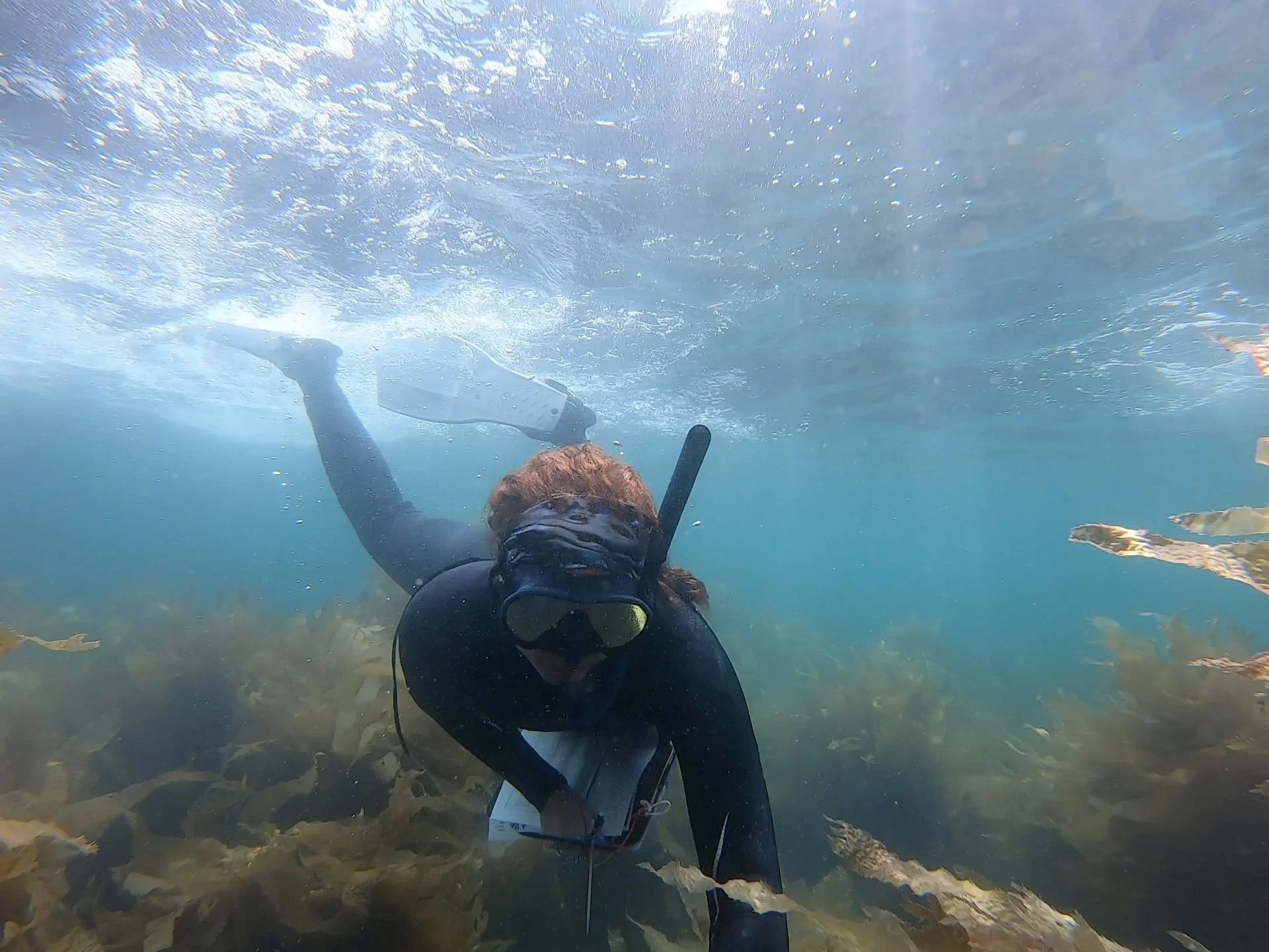 The Ocean is Our Lab