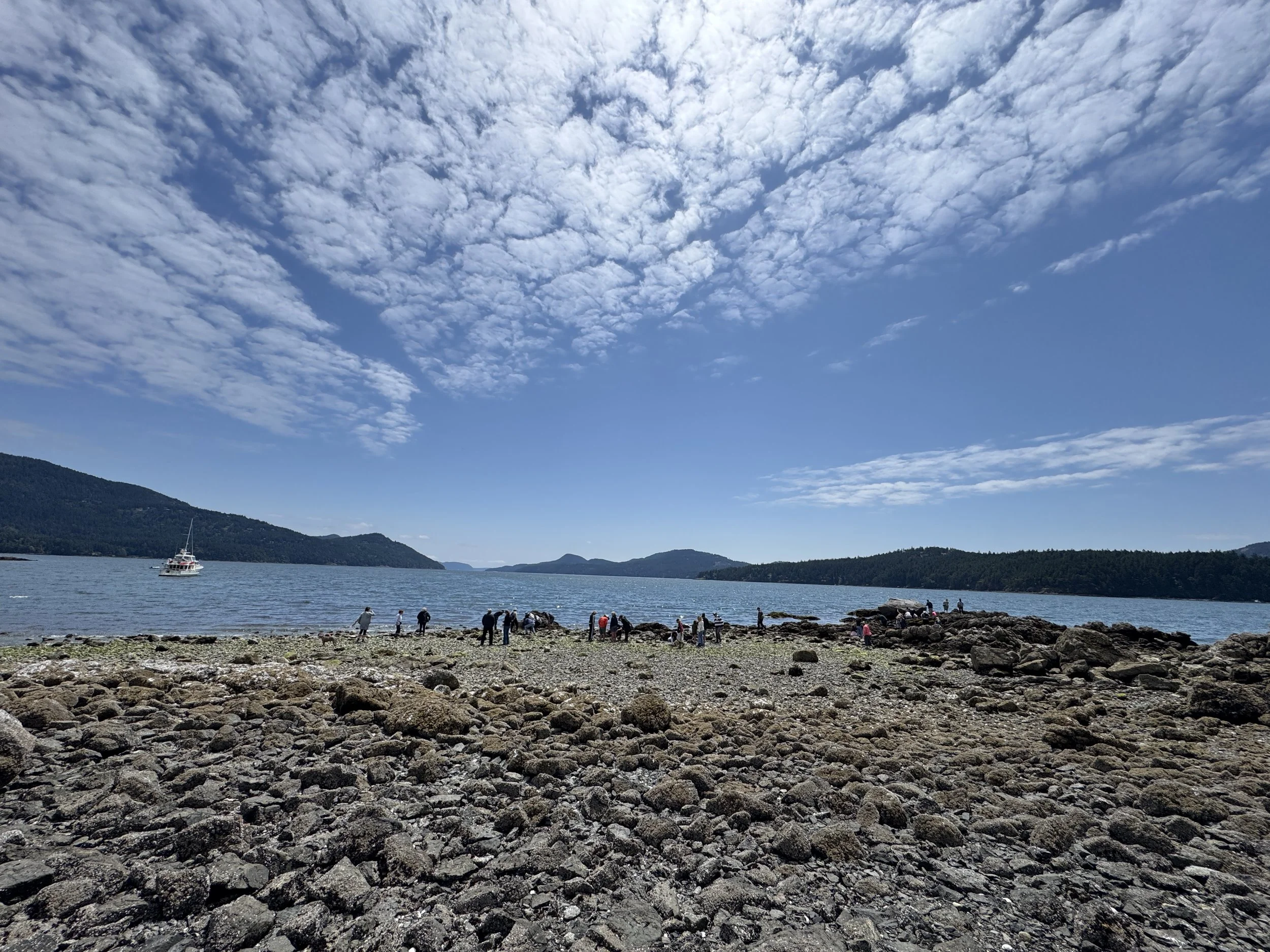 Photos: On the Shores of Indian Island With SeaDoc Society Tidepoolers and Wildlifers