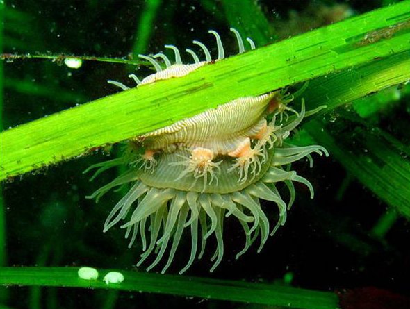 Nature is Not a Luxury