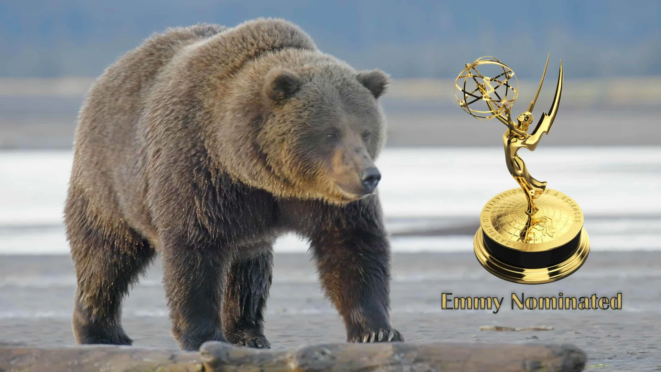 Salish Sea Wild Episode about Grizzlies Gets Nominated for an EMMY!