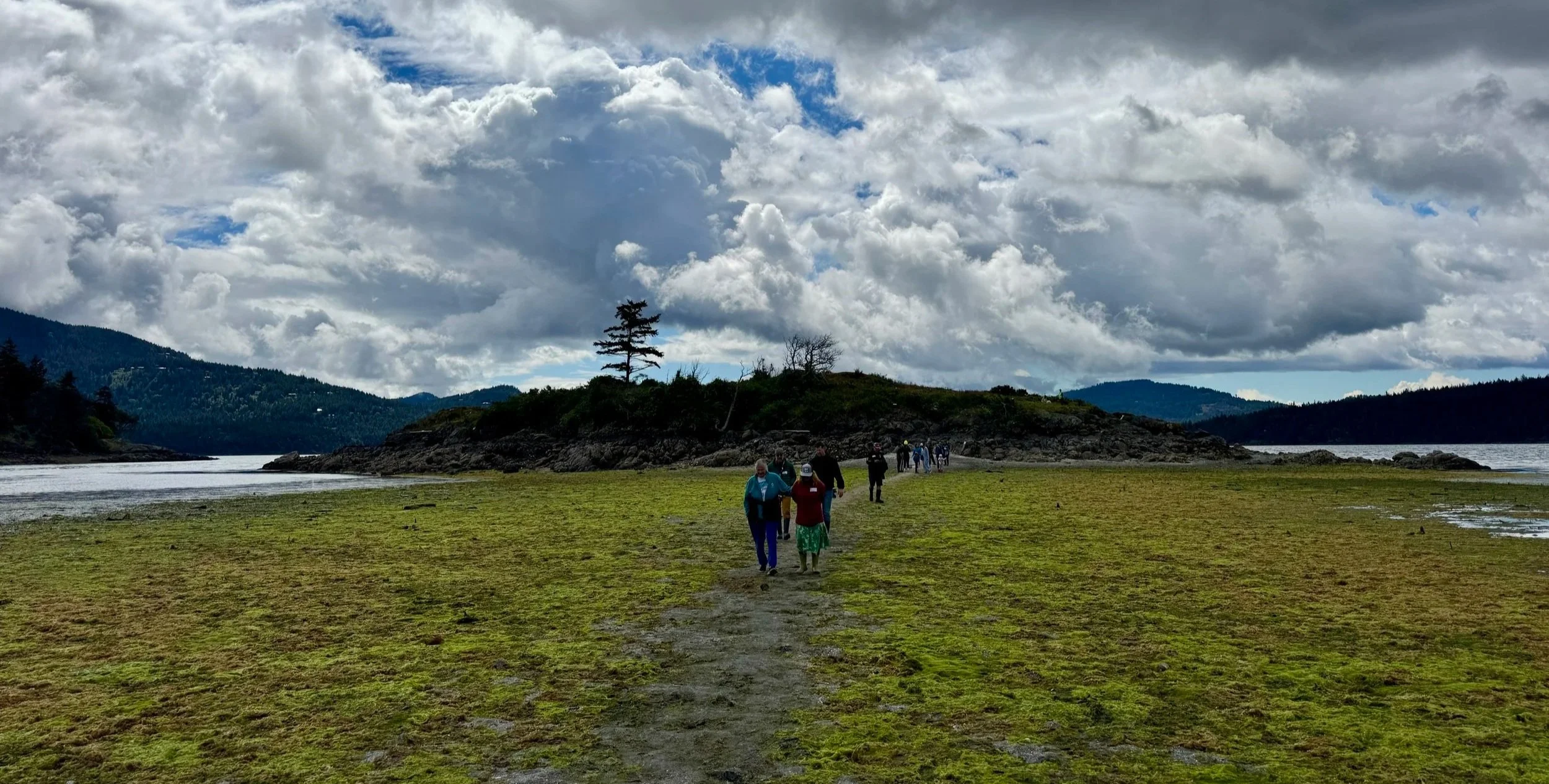 Photos from Our Special Low-Tide Walk on Orcas Island