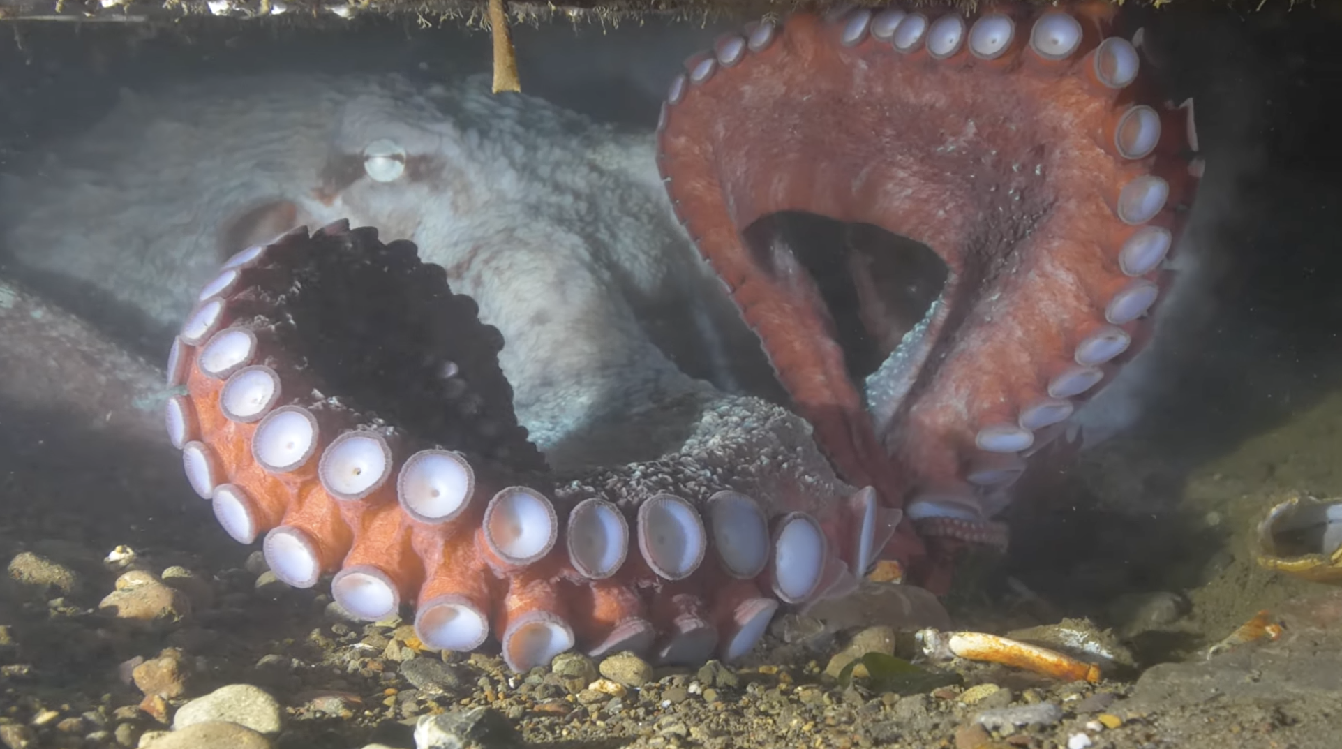 Screenshot 2026-04-04 at 5.46.25 PM.png