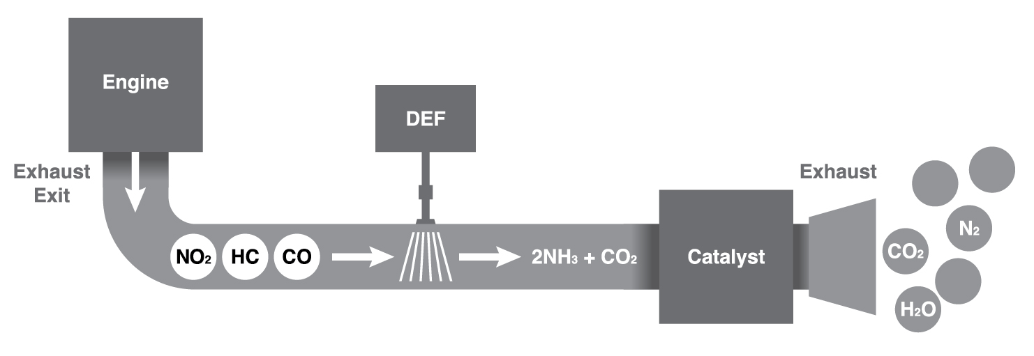 graphic_DEF_web-01.jpg