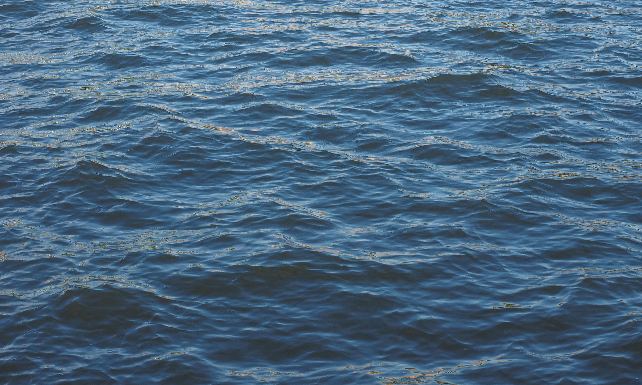 Water - 2500x1500.jpg