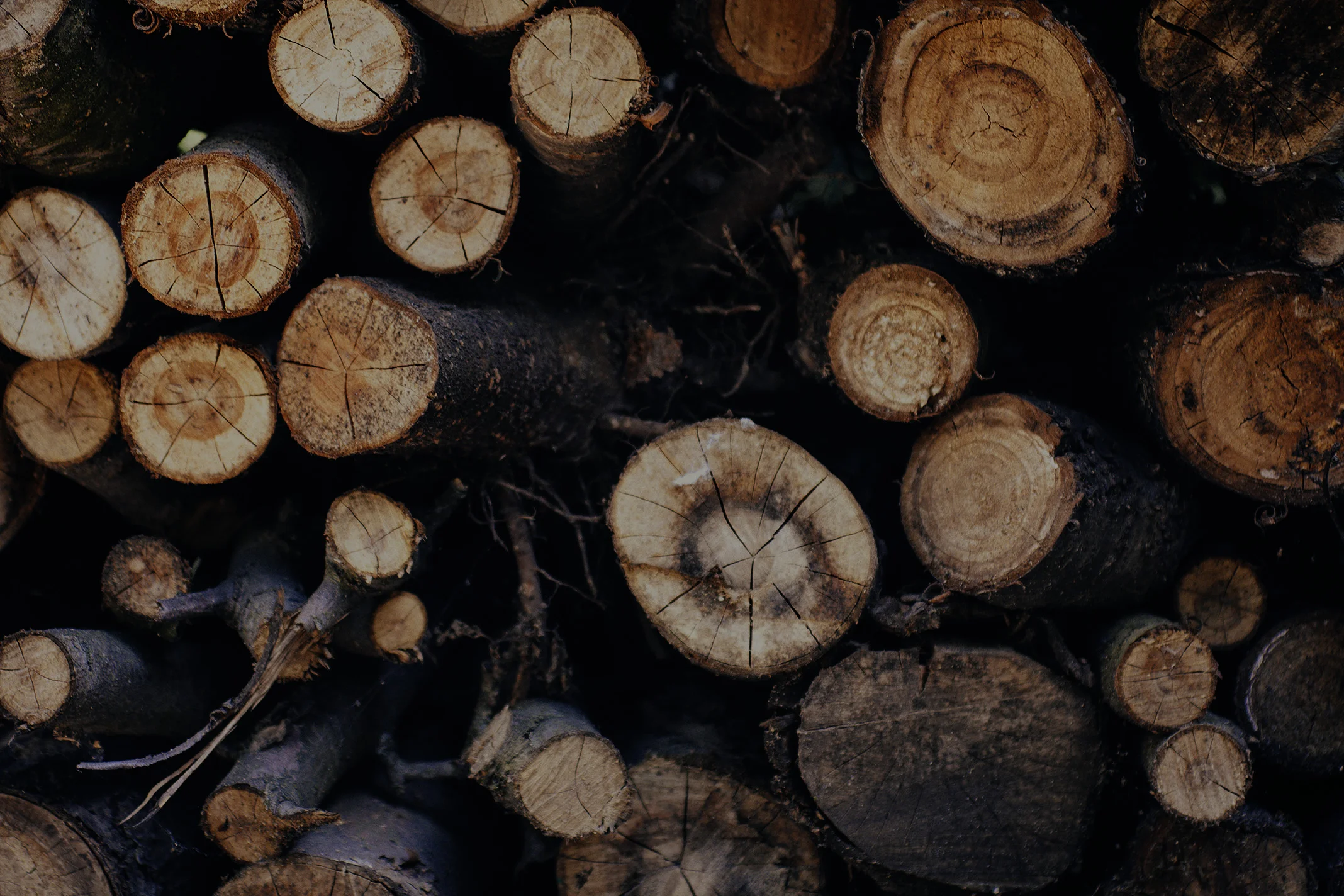 dark wood banner.jpg