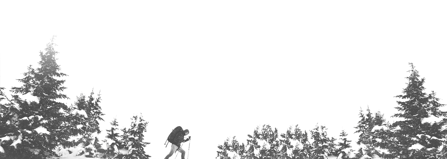 Piney Web Banner.png