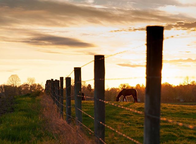 A view that looks a lot like home
.
.
.
📸: @gregdempseyphoto
.
.
.
.
Email us your photos of Appalachia by clicking the email on our profile!